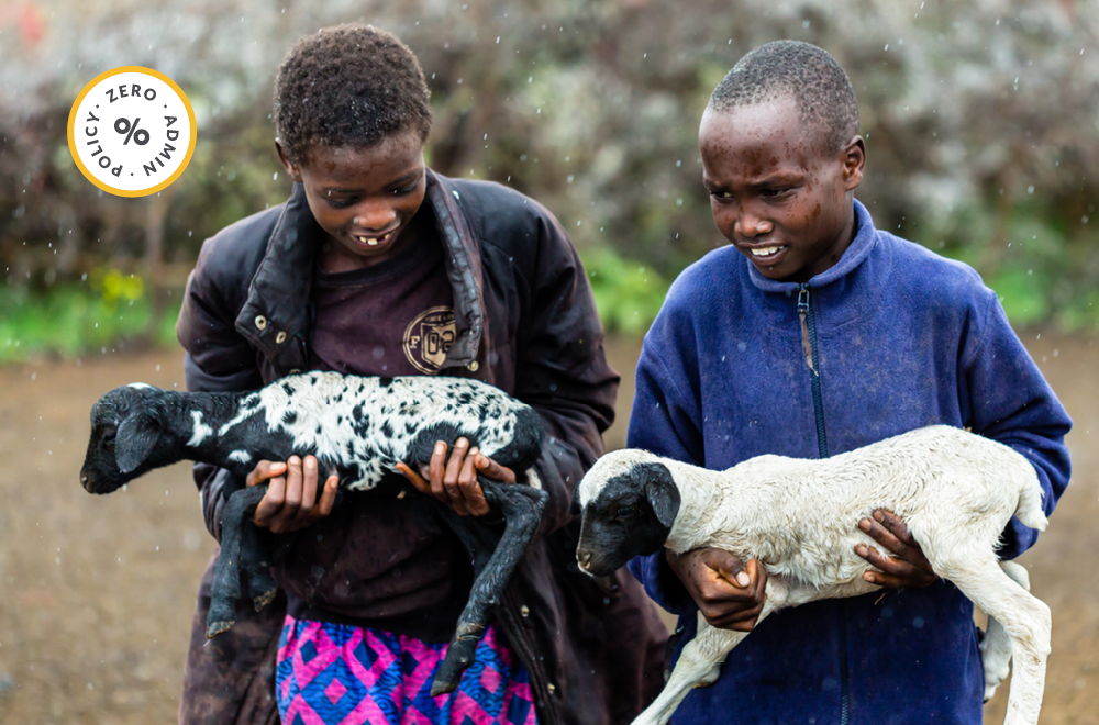 Qurbani Aqiqah